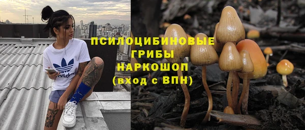 2c-b Краснослободск