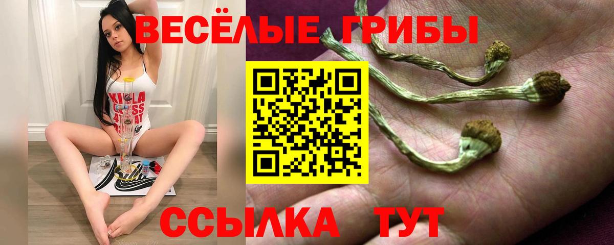 Галлюциногенные грибы мицелий  Вход с VPN  Псилоцибиновые грибы Psilocybe  Заринск 