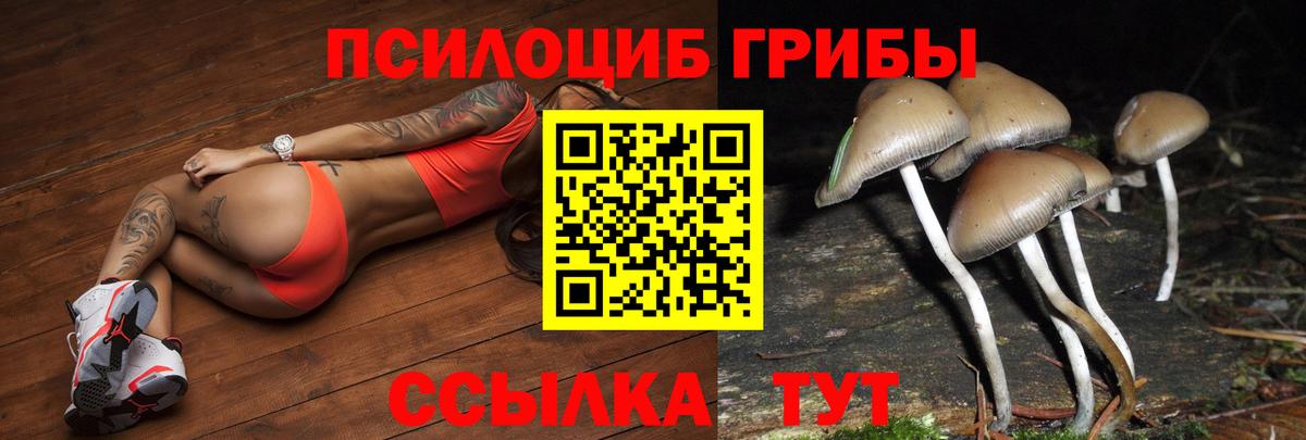 Псилоцибиновые грибы Magic Shrooms Заринск